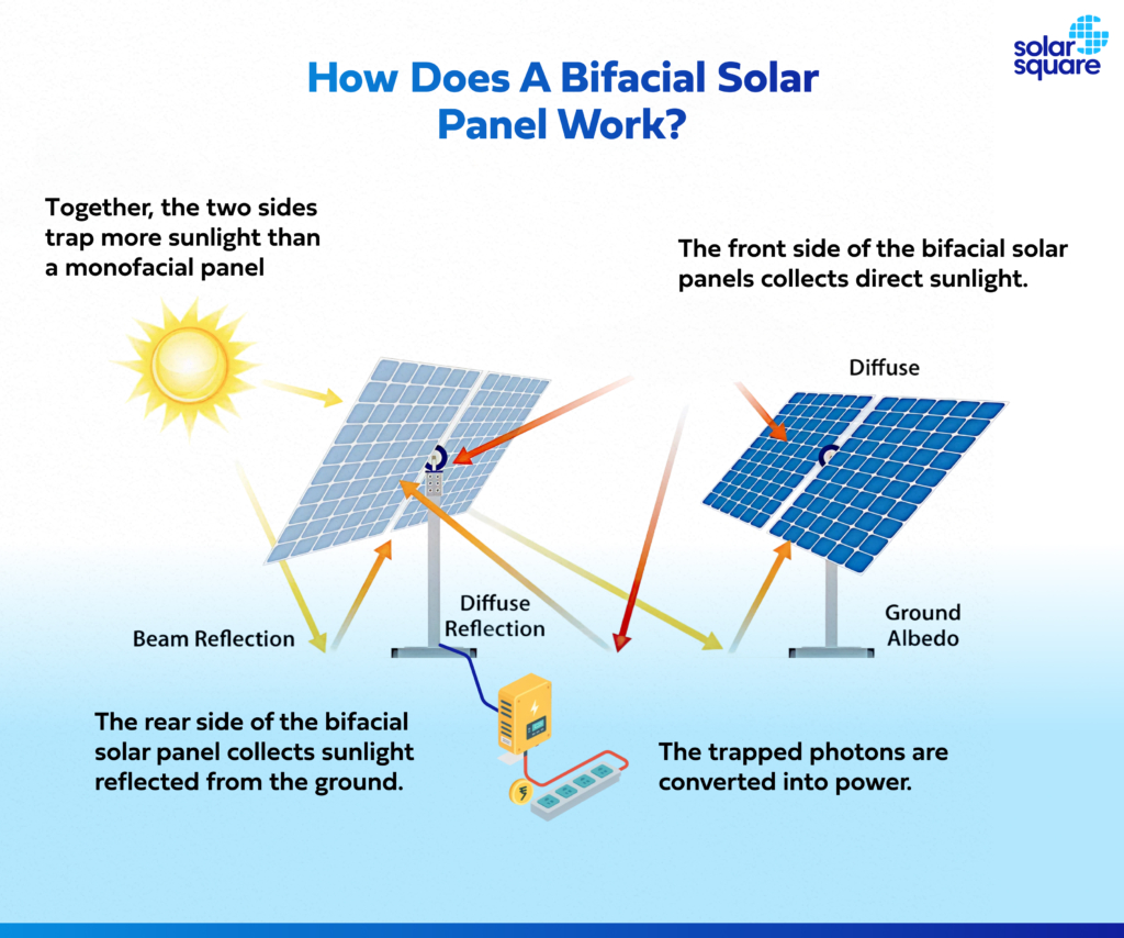 Bifacial Solar Panels: Price, Benefits, Limitations, Cost, and More!